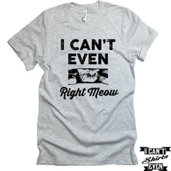 I Can't Even Right Meow T-Shirt. Crew Neck shirt. Pet Lover Tee