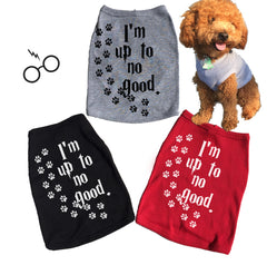 I'm Up To No Good. Dog Tee. Tank.